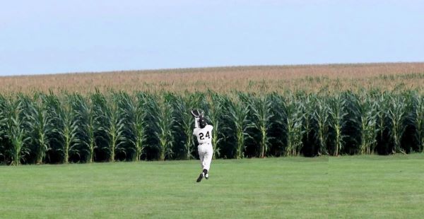 Willie's Field of Dreams