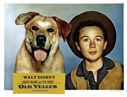 Tommy Kirk-Old
        Yeller